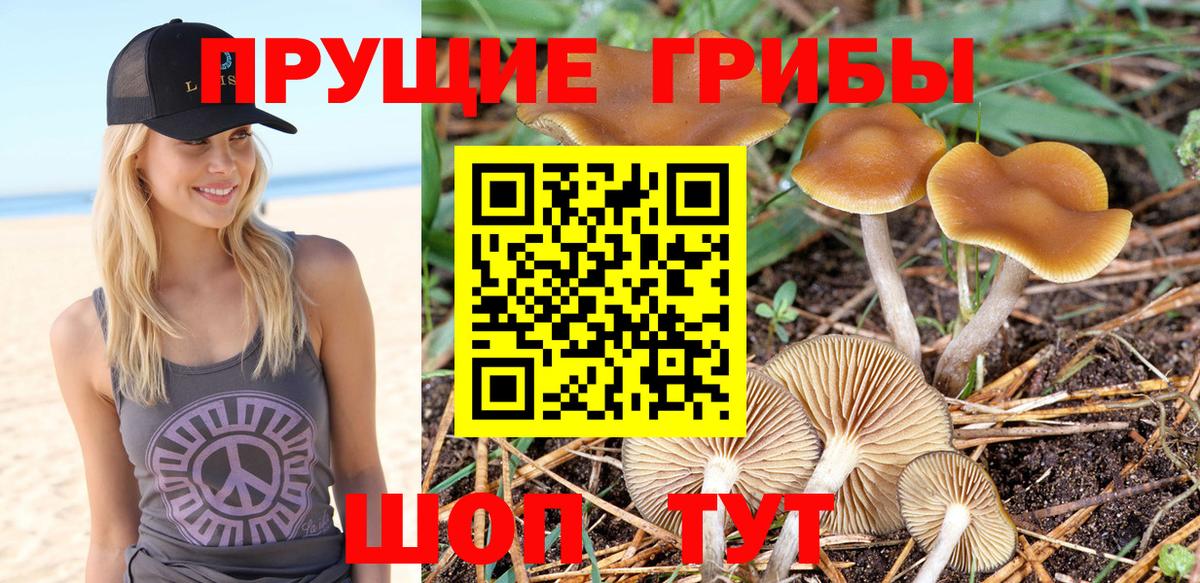 Псилоцибиновые грибы мухоморы Зеленокумск